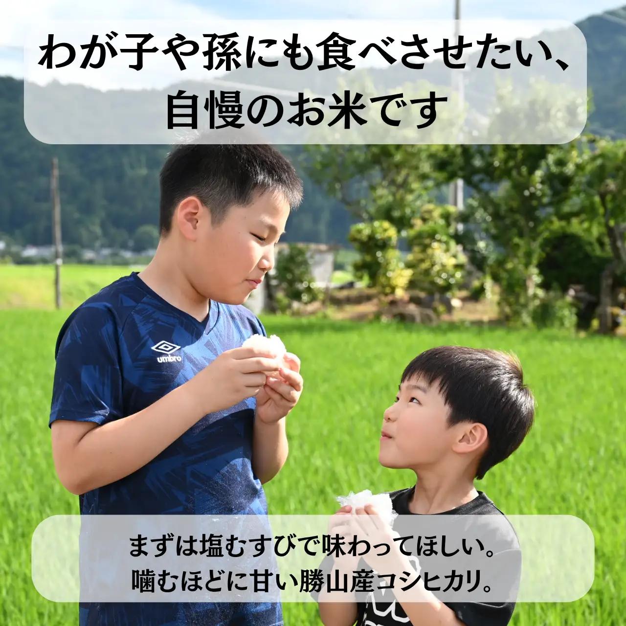 米 コシヒカリ 精米 10kg 令和8年産 先行予約 [B-103001]