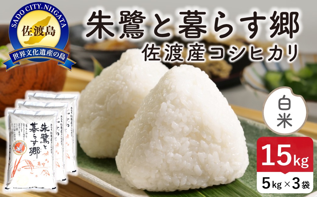 
                  佐渡島産コシヒカリ 白米 15kg（5kg×3袋） 令和7年産 特別栽培米 | 新潟県産コシヒカリ 新潟産コシヒカリ 佐渡産コシヒカリ 新潟県産こしひかり 佐渡産こしひかり お米 米 こしひかり 白米 精米 おこめ コメ 15キロ にいがた さど 新潟県 佐渡市
                