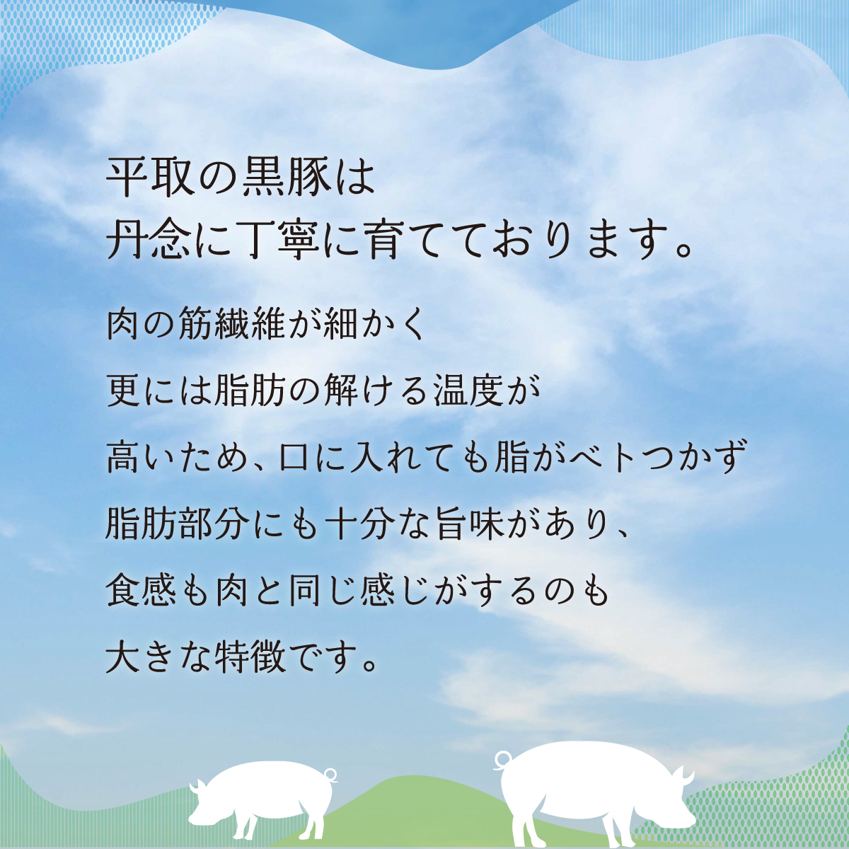【平取町産じゃんけんぽん特製】びらとり黒豚焼肉用肉120ｇ×2枚×2セット BRTF006_イメージ3