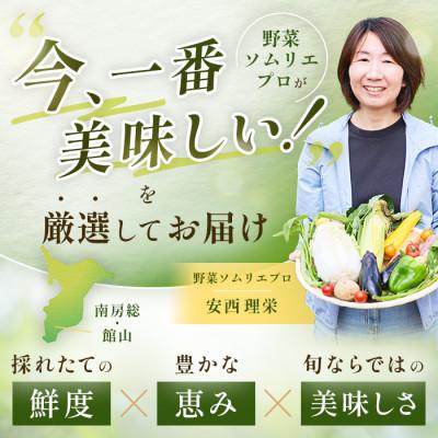 ふるさと納税 館山市 【毎月定期便】【下旬発送】こだわりの旬野菜BOX「リエビン」季節の野菜セット全6回 |  | 01