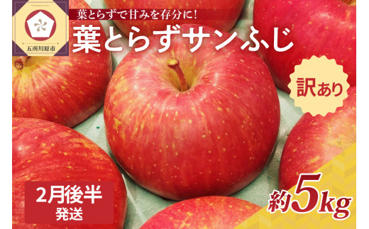 【2025年2月後半発送】【訳あり】青森県産葉とらずサンふじりんご約5kg