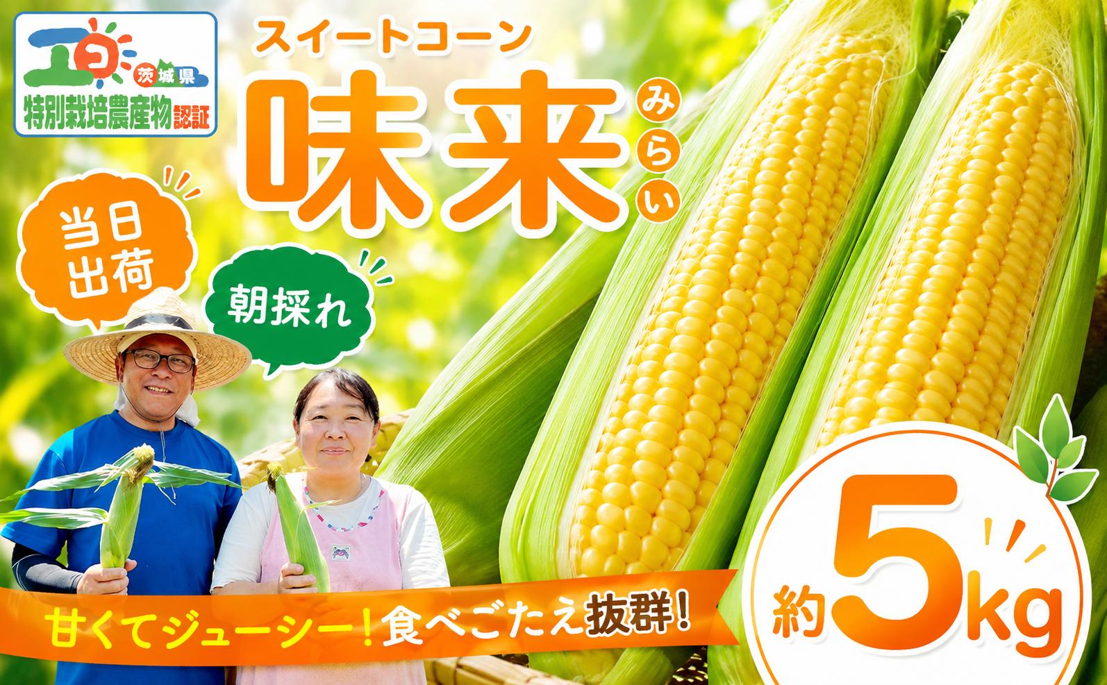 
                  とうもろこし 約5kg （味来）朝採れ スイートコーン 茨城県  【6月上旬以降発送】 とうもろこし トウモロコシ トウキビ とうきび コーン toumorokoshi 茨城県産 新鮮 甘い 糖度 朝どれ 朝もぎ 甘い みらい 野菜 採れたて野菜 レンチン 冷蔵 夏野菜 極甘 旬 産地直送 関東 茨城 筑西市
                