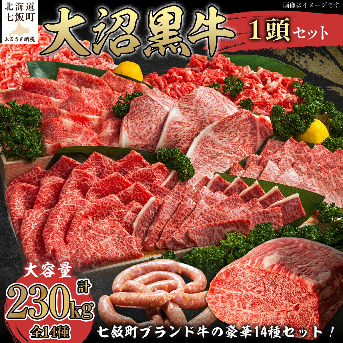 【ふるさと納税】【北海道ブランド牛】大沼黒牛　1頭 【ふるさと納税 人気 おすすめ ランキング 北海道ブランド牛 大沼黒牛 黒毛和牛 冷凍 ステーキ すき焼き しゃぶしゃぶ 牛丼 焼肉 挽肉 おいしい 北海道 七飯町】 NAM009