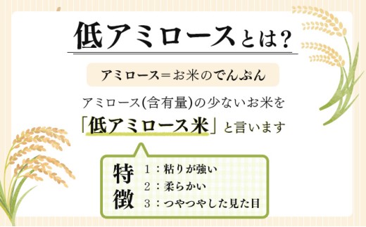令和7年産 北海道岩見沢市産 あやひめ玄米5kg ≪沖縄・離島配送不可≫【35029】