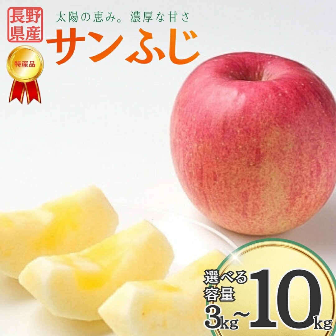 【ふるさと納税】【2025年先行予約】りんご サンふじ 約3kg/5kg/10kg｜ 果物 フルーツ リンゴ 林檎 サンフジ さんふじ 千曲市 長野県 信州