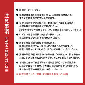 房州産天然伊勢えび　約1kg mi0014-0011