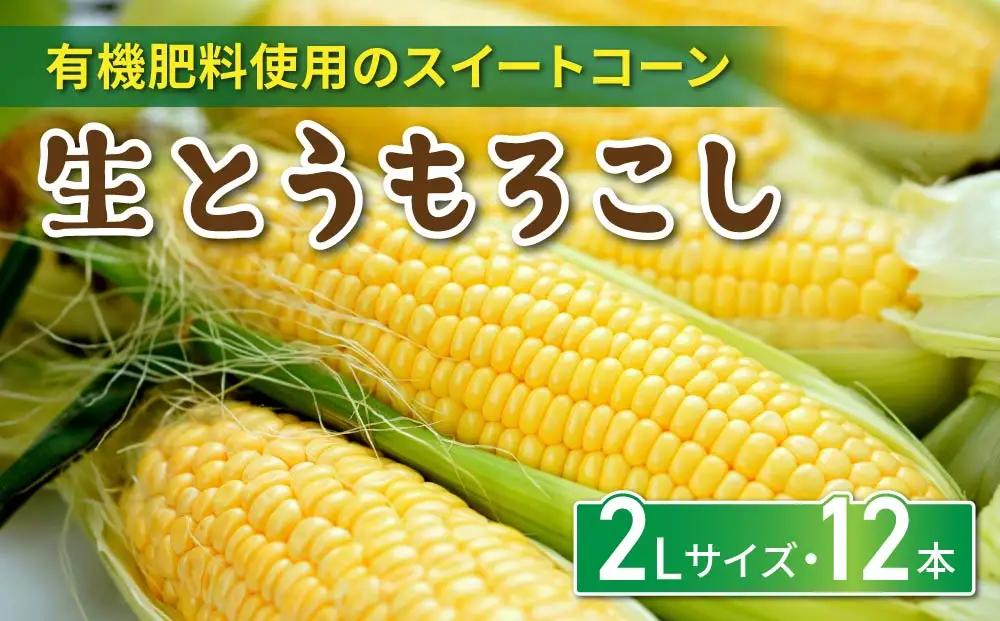 生とうもろこし 2Lサイズ 12本 有機肥料使用のスイートコーン！ 長野県東御市産 ※7月上旬から順次発送予定※発送日指定不可