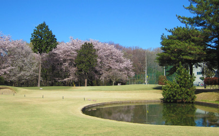 南筑波ゴルフ場ご利用券　30,000円分 【 茨城県 つくば市 ゴルフ ゴルフ場 ゴルフチケット ゴルフ ゴルフ場チケット ゴルフ チケット プレー プレーチケット プレー券 利用券 ゴルフ利用券 ゴ