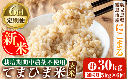 K-391-F 【6回定期便】令和7年産新米 てまひま米・玄米(品種:にこまる)(計30kg：5kg×6回)【末蜜農園】霧島市 お米 玄米 米 こめ コメ ご飯 ごはん 定期便 栽培期間中農薬不使用