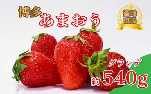 あまおう グランデ等級　約270ｇ×2パック（2月～4月に順次発送予定）冷蔵 小分け いちご 福岡県産 苺 あまおうイチゴ フルーツ あまおう 果物 スイーツ くだもの 冬 春 旬 福岡 九州 福岡県 川崎町 数量限定 期間限定