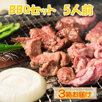 エンジョイ!BBQセット　～焼肉6種　5人前コース～　3箱セット[No.5217-0108]