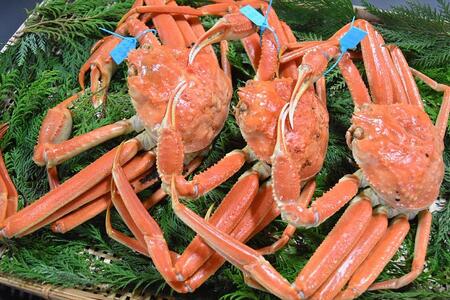 【ふるなびWEEK対象】【訳あり】金沢港 直送！サイズおまかせ ボイル 加能ガニ 3杯セット   ズワイガニ ずわい ズワイ蟹 蟹 カニ 冷蔵 人気 おすすめ 期間限定 石川 金沢 加賀百万石 加賀 