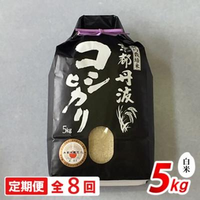 ふるさと納税 南丹市 【毎月定期便】京都丹波産 コシヒカリ 5kg 精米全8回