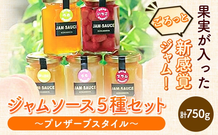 ジャムソース５種セット(プレザーブスタイル) JAわかやま 紀の里地域本部 《90日以内に出荷予定(土日祝除く)》 和歌山県 紀の川市---wsk_jakjam_90d_22_13000_5c---
