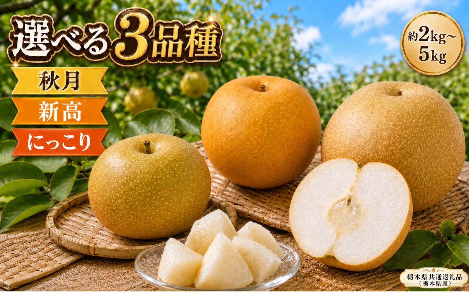 
                  【2026年先行予約】梨 栃木県産 訳あり 選べる 秋月 新高 にっこり| 2kg 3kg 5kg あきづき なし ナシ わけあり 訳アリ 完熟 果物 フルーツ プレゼント ご褒美 お取り寄せ 贈答 おいしい ジューシー 数量 限定 栃木県産 栃木県 真岡市 減農薬 送料無料【栃木県共通返礼品 栃木県産】 
                