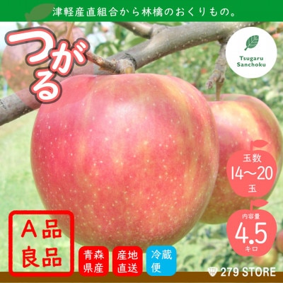 9月初旬頃発送 つがる A品 5キロ箱 4.5kg 14～20玉 津軽りんご 産地直送 冷蔵【配送不可地域：離島】