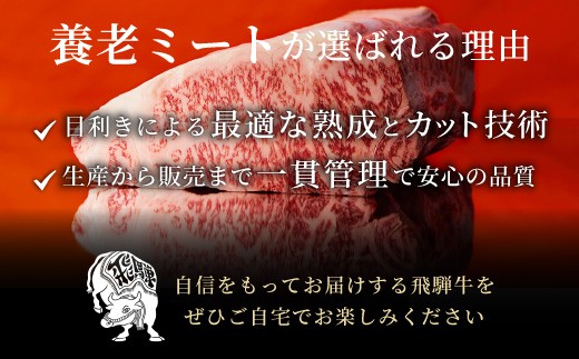 【12月発送】 最高5等級 飛騨牛 厚切りロースステーキ 600g 300g×2枚 牛肉 和牛 肉 ロース ステーキ 東白川村 岐阜 贅沢 霜降り A5 5等級 厚切り 大容量 養老ミート