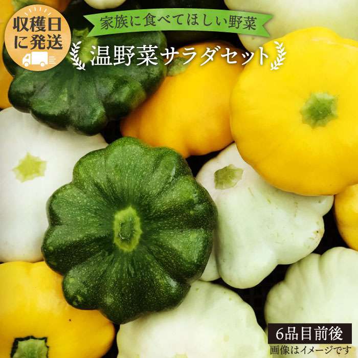 【 栽培期間中農薬 ・ 化学肥料 不使用 】 温野菜 サラダ セット （ 6品前後 ） 糸島市 / オーガニックナガミツファーム [AGE015]