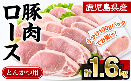 鹿児島県産 豚肉 ロース とんかつ 小分け (計1.6kg・100g×16P)【株式会社羽根】A722