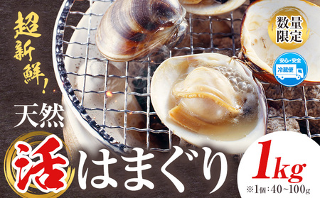 数量限定 天然 活 はまぐり 1kg 1個:40g～100g 寺田水産 【配送不可地域：離島・北海道・沖縄県・東北・中国・四国・九州】