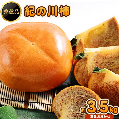 希少 紀の川柿 約3.5kg（種無し）【2026年先行予約】 秀選品 厳選館 《2026年11月上旬-11月中旬頃出荷》 和歌山県 日高川町 柿 カキ かき ジューシー フルーツ