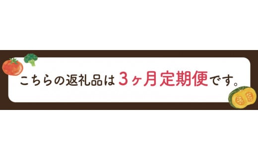 【3ヶ月定期便】ひだまりとアンダンテセット 全3回《お申込みの翌月より出荷》 花田農園 野菜スープ トマト ブロッコリー---skr_fhndsptei_24_47000_mo3num1---