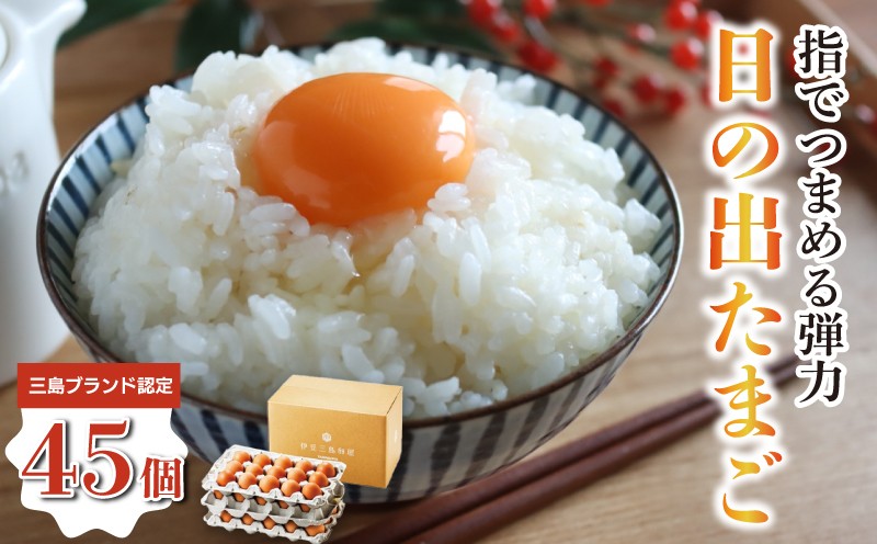 
日の出たまご45個入り
