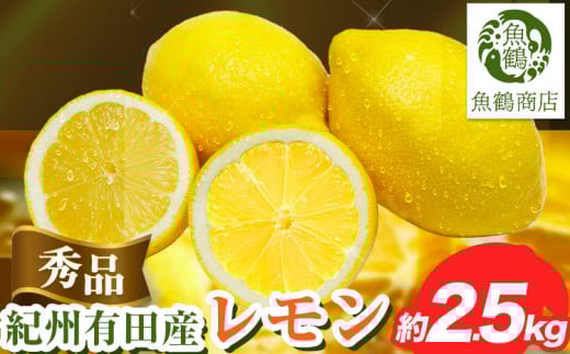 【先行予約】【秀品】紀州 有田産 レモン 約 2.5kg 魚鶴商店《3月上旬-3月中旬頃出荷》和歌山県 日高町 柑橘 レモン れもん lemon remon 果物 有田 はちみつレモン