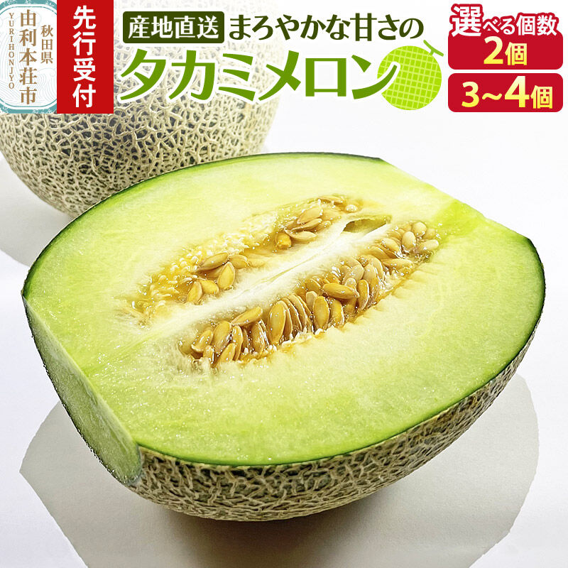 【ふるさと納税】《先行受付》由利本荘産 メロン【選べる個数：2個／3〜4個】 [メロン フルーツ 果物 スイーツ 先行予約 秋田 由利本荘市産 国産]