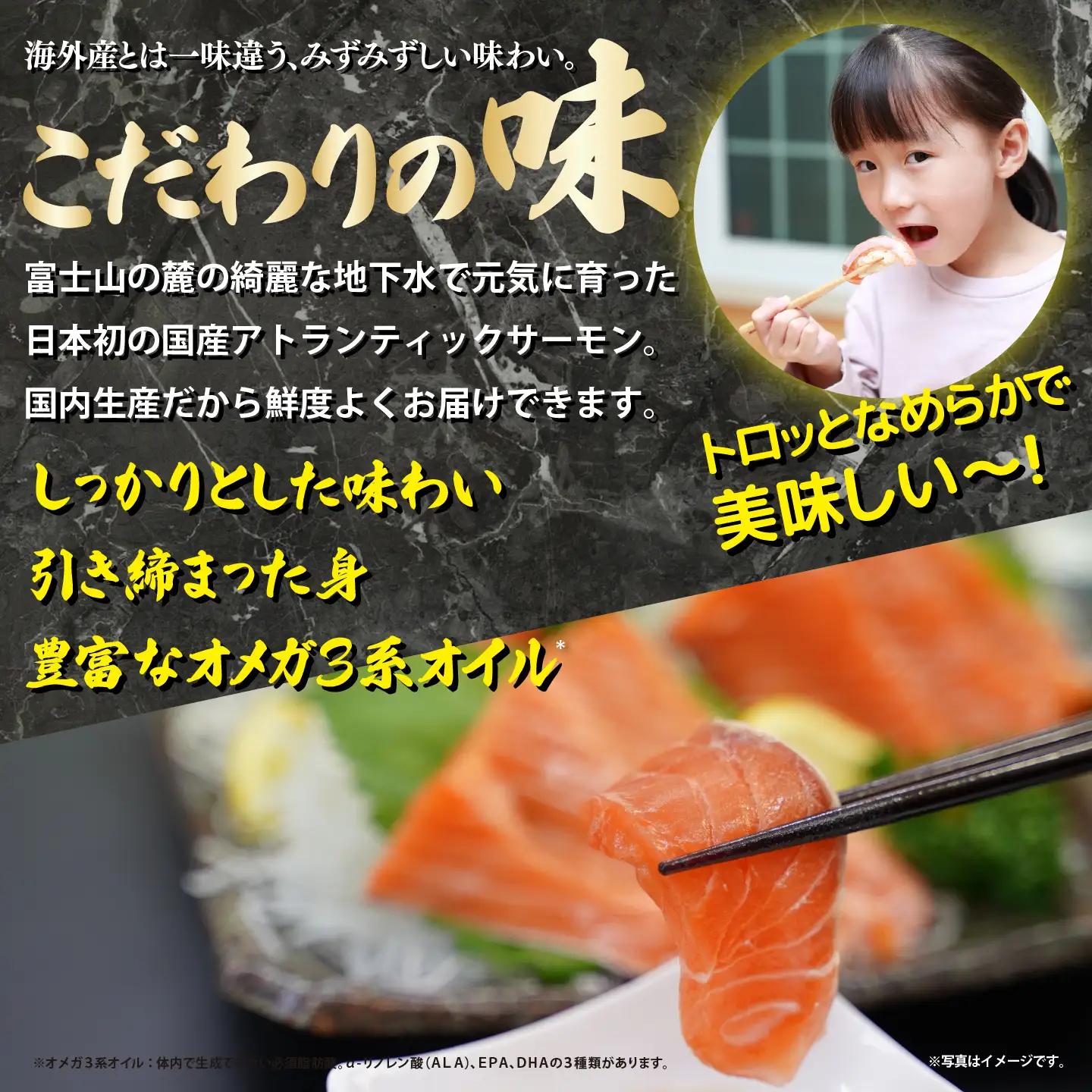国産サーモン 冷凍 8～9P 約2kg サーモン