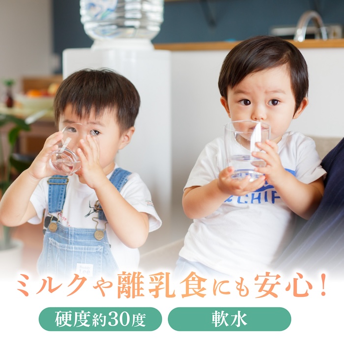 【6回定期便】赤ちゃんも安心して飲める 清水湧水 軟水 2L 計12本 (6本×2箱) 非加熱殺菌 ミネラルウォーター【株式会社清水】天然水の風味を損なわないよう非加熱殺菌 天然水 水 軟水 ペットボ