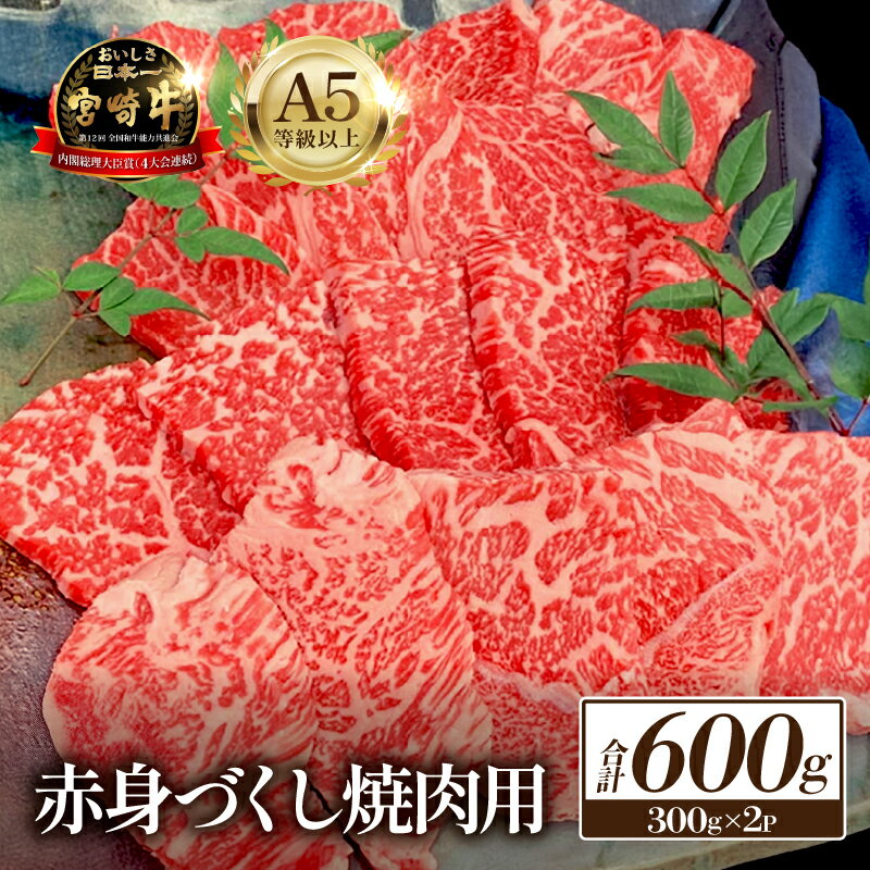 【ふるさと納税】【数量限定】A5等級 小林市産宮崎牛赤身づくし焼肉用 600g（内閣総理大臣賞4大会連続受賞 牛肉 黒毛和牛 宮崎牛 牛肉 お肉 焼肉）