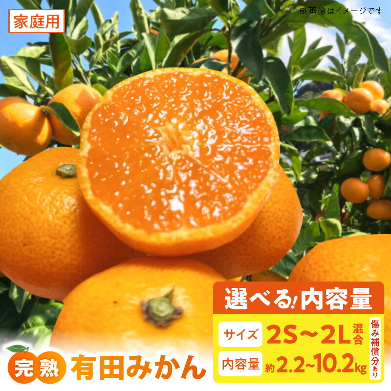 【ふるさと納税】【2026年先行予約】 【限定】 ご家庭用 完熟 有田みかん サイズ混合 2S ～ 2L 選べる 内容量 約 2.2kg ～ 10.2kg ほどよい 酸味 濃厚 甘味 採れたて 新鮮 こだわり みかん 果物 フルーツ 果実 柑橘 食べ物 デザート お取り寄せ 和歌山県 湯浅町 送料無料