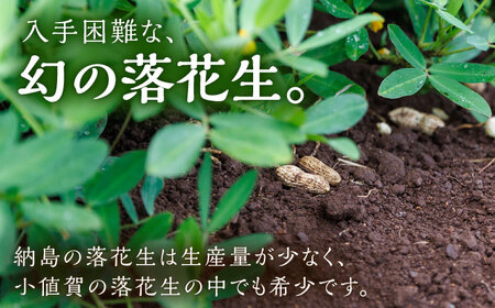 【先行予約】【数量限定】納島落花生 2袋 / 島 落花生 ピーナッツ ピーナッツ ピーナツ 小値賀 [DBP001]