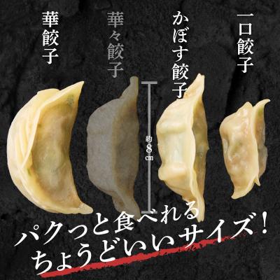 ふるさと納税 大分市 華永餃子セットA(華×1、一口×1、かぼす×1) 計54個_A07006 |  | 02