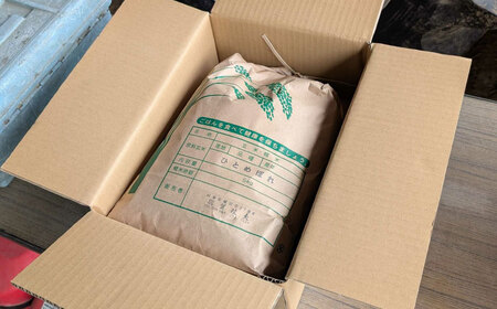 慣行米 ひとめぼれ 5kg お米 白米 精米 岐阜市 / 羽賀政夫[ANDZ003]