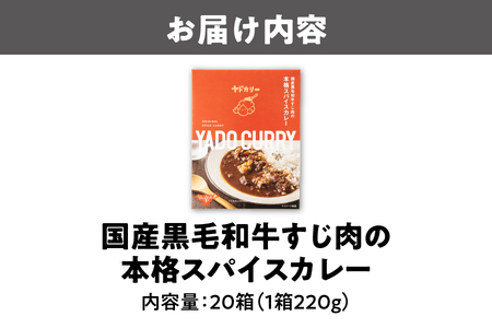 本格スパイスカレー「ヤドカリー」レトルトカレー　黒毛和牛すじ　20食セット_OS197-0001-02
