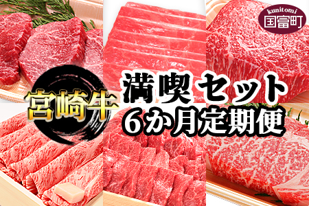 ＜6か月定期便 宮崎牛満喫セット＞翌月末迄に第１回目発送【 牛 肉 牛肉 牛定期便 肉定期便 牛肉定期便 ６回定期便 ６か月定期便 食べ比べ定期便 エムツー定期便 宮崎牛定期便 国富町定期便 】【a0322_em_x3】