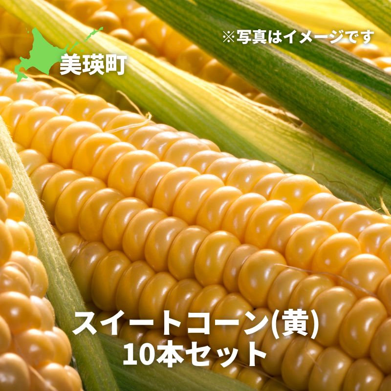 【ふるさと納税】とうもろこし【令和9年産 先行予約】スイートコーン 黄色 10本 北海道 美景農園 | とうもろこし トウモロコシ スイートコーン イエローコーン 糖度 甘い 朝どれ 朝採れ とうきび 新鮮 旬 野菜 夏野菜 美瑛産 北海道 とうもろこし北海道 2027年発送