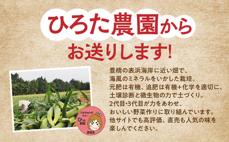 ≪先行予約≫ 令和8年産(2026年収穫)黄色とうもろこし 28本 直売所で大人気! 愛知県 豊橋市 夏野菜 野菜 ミネラルたっぷり 海風そだち 潮風 BBQ 家族で 大容量 豊橋 ともちゃんのやさい