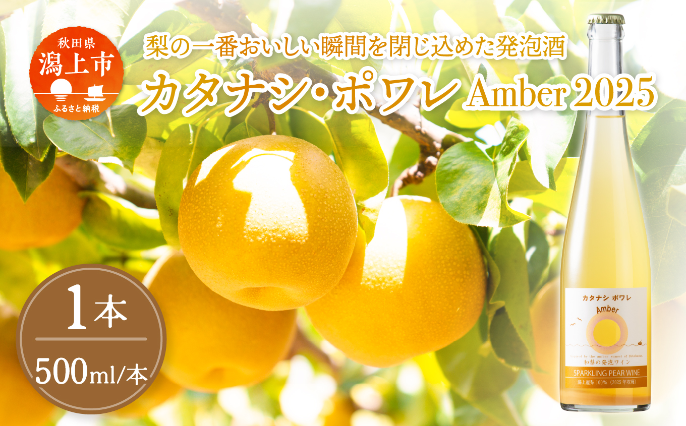 カタナシ・ポワレ Amber 2025 スパークリング 500ml 1本 潟上市 むつみワイナリー	