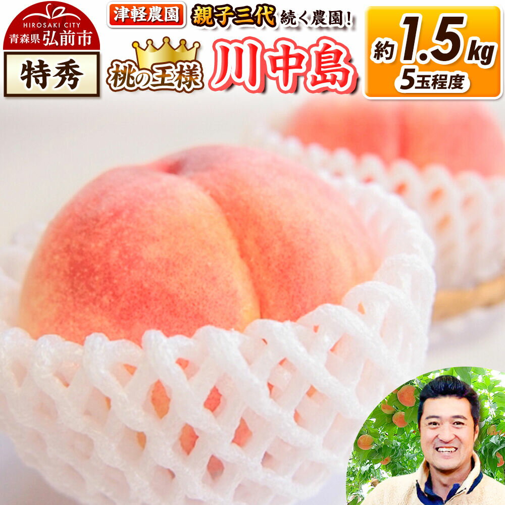 【ふるさと納税】【26年8月発送】桃 約1.5kg(5玉程度) 青森【2026年産 桃の王様 川中島】もも 特秀 果物 フルーツ くだもの 津軽農園 採れたて 農家直送 [おいしい ピーチ フルーツ もも 果実 果物 青森 津軽 桃 美味 川中島白桃]