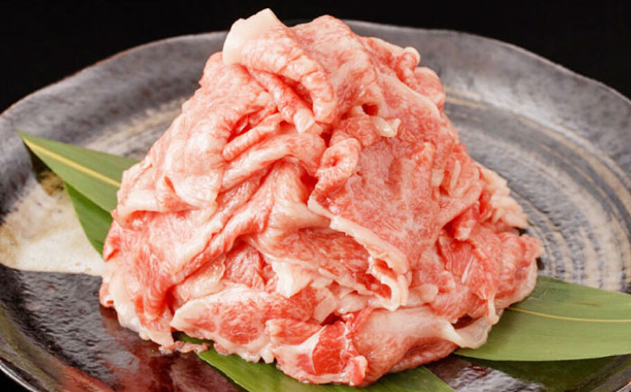 【最高級A5ランク】長崎和牛 ロース 小間切れ 800ｇ（400g×2パック）《壱岐市》【肉の相川】 牛肉 牛 和牛 こま切れ 牛丼 カレー 肉じゃが 贈答 ギフト 贈り物 お中元 お歳暮 精肉 冷凍