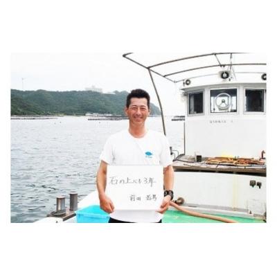 ふるさと納税 南あわじ市 【若男水産】てっさ【3年とらふぐのフグ刺し/冷凍】(約5〜6人前) |  | 03