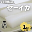 【ふるさと納税】もちっと食感 セーイカ 1kg(2～3柵)【配送不可地域：離島】【1544697】