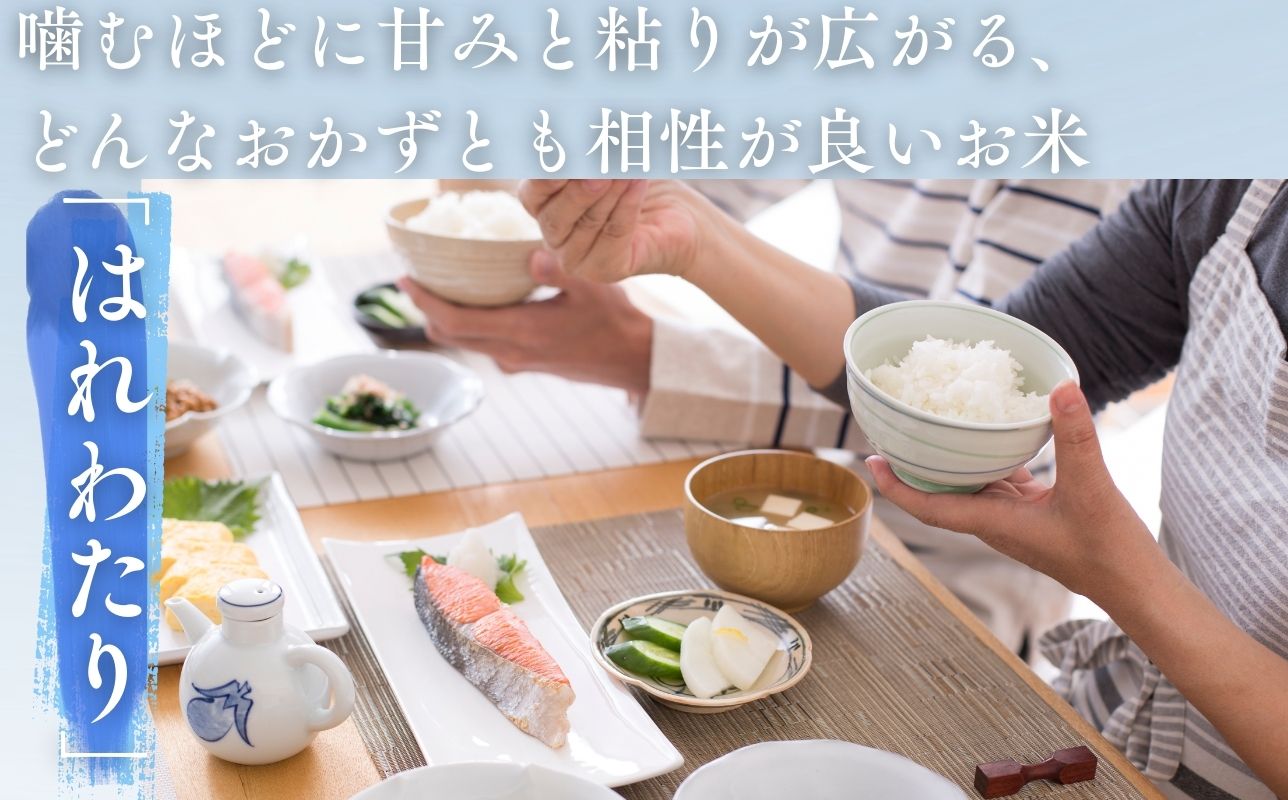 【令和7年産】青森県産 はれわたり5kg  精米 青森ブランド米 白米 ごはん お米