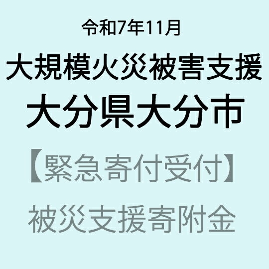 【ふるさと納税】【令和7年11月大分県大分市大規模火災被害支援緊急寄附受付】大分県大分市災害応援寄附金（返礼品はありません）