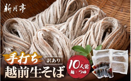 冷蔵 生そば 10人前(だし付き) 越前蕎麦 こだわり (保存料・防腐剤・添加物不使用） 美味しいそばのゆで方ポイント付 【ソバ  訳あり 麺 お届け希望日指定可能  年末  ざるそば  冷凍保存  】  [e21-a005]