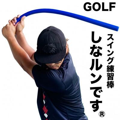 ふるさと納税 高知市 スイング練習器具 青いしなルンです しなるスイング練習棒90cm・500g ストレート【AG097】