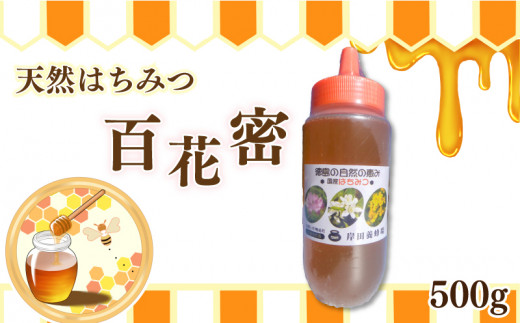 はちみつ 百花蜜 ボトル 500g 天然はちみつ 蜂蜜 健康食品 美容 食品 栄養豊富 ギフト 贈答 人気 はちみつ お取り寄せ グルメ ヨーグルト パン スイーツ 徳島県 吉野川市